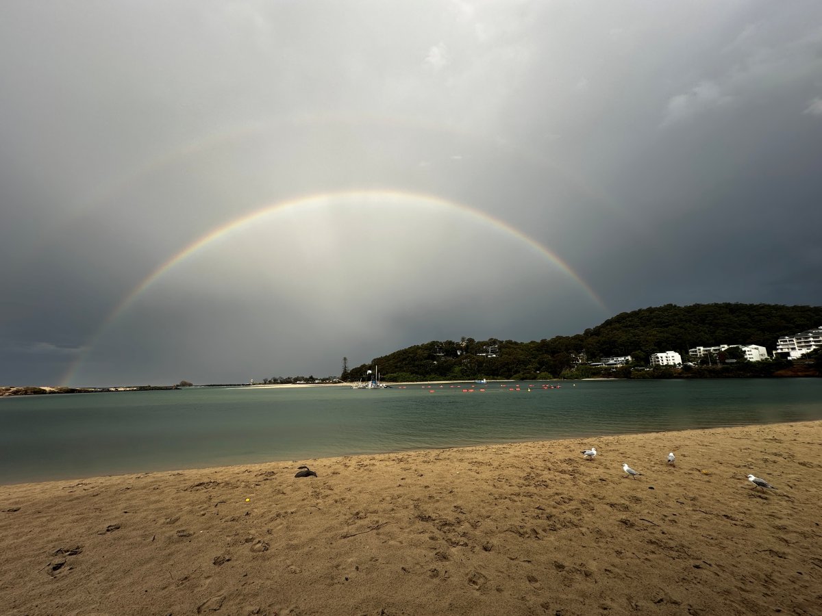 Weathering the storm...